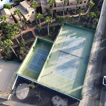 Mirada Al Sol By Leimma En Oasis Duna