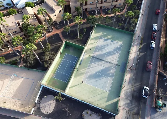 Mirada Al Sol By Leimma En Oasis Duna