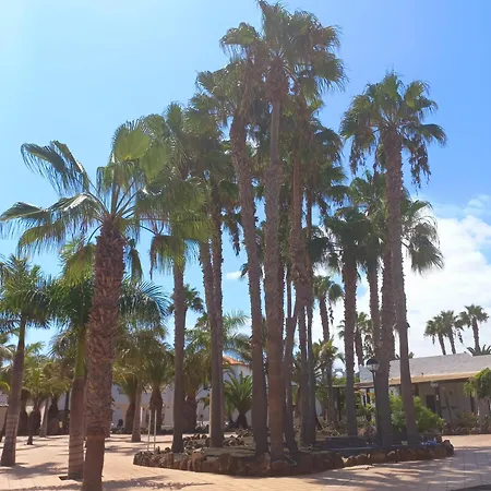 Mirada Al Sol By Leimma En Oasis Duna Corralejo