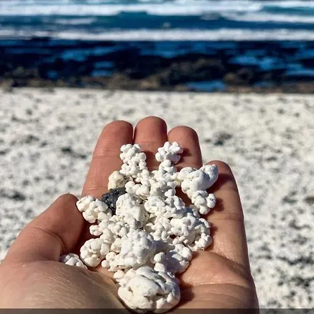 アパート Mirada Al Sol By Leimma En Oasis Duna *