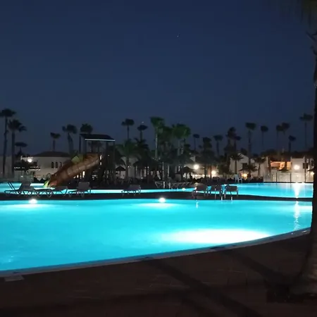 Mirada Al Sol By Leimma En Oasis Duna コラレホ